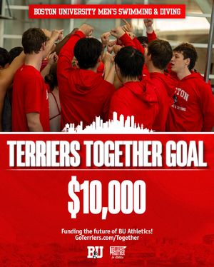 Image post by @terrierswimdive on Instagram