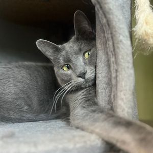 Image post by @whitmanpets on Instagram