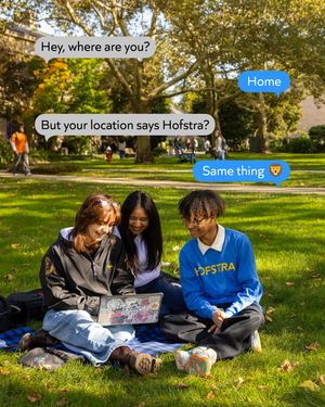 Image post by @hofstrau on Instagram