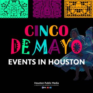 Image post by @houstonpubmedia on Instagram