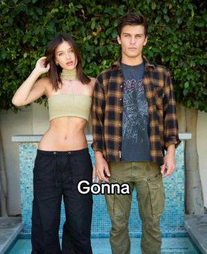 Image post by @brat on TikTok