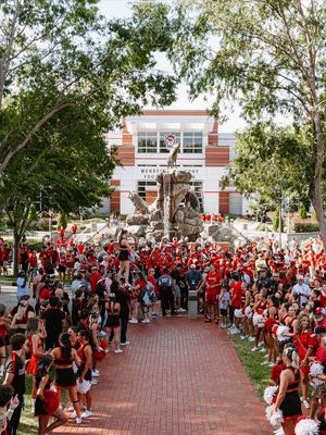 Image post by @packathletics on Instagram