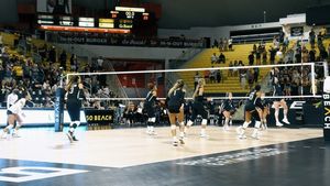 Image post by @lbsuwvb on Instagram