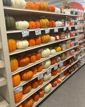 Image post by @biglots on Instagram