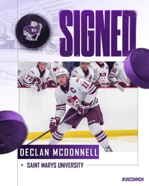 Image post by @niagaramhky on Instagram