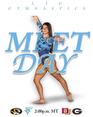 Image post by @liuwgymnastics on Instagram