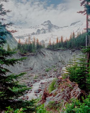 Image post by @connorpickett on Instagram