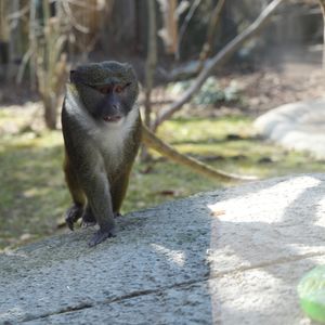 Image post by @detroitzoo on Instagram