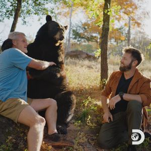 Image post by @Discovery on Twitter
