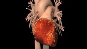 Video post by @nucleusmedicalmedia on YouTube