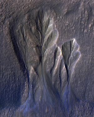 Image post by @nasaartemis on Instagram