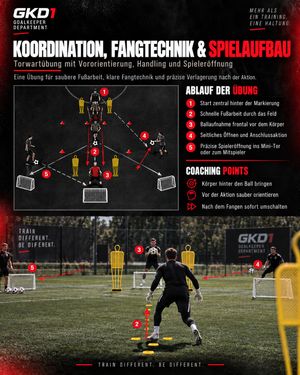 Image post by @goalkeeperdepartment1_gkd on Instagram