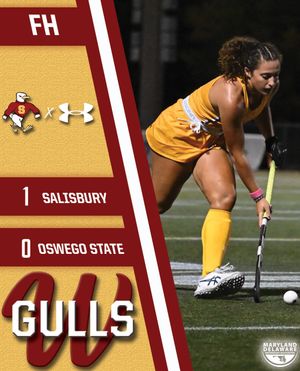 Image post by @suseagulls on Instagram