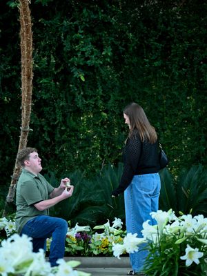 Image post by @kmpinc on Instagram