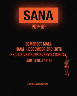 Image post by @sanadetroit on Instagram