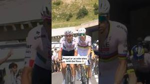 Video post by @veloncc on YouTube