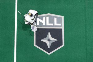Image post by @rocknighthawks on Instagram
