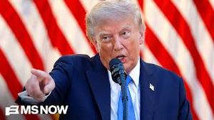 Video post by @msnbc on YouTube