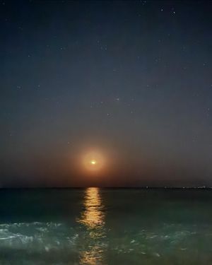 Image post by @marioguaranha on Instagram