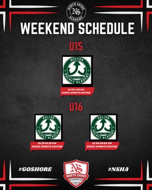 Image post by @nshockeyacademy on Instagram