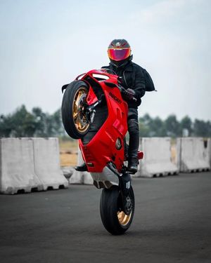 Image post by @panigalers on Instagram