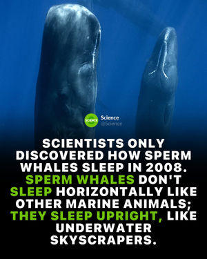 Image post by @science on Instagram