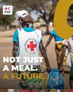 Image post by @ifrc on Instagram