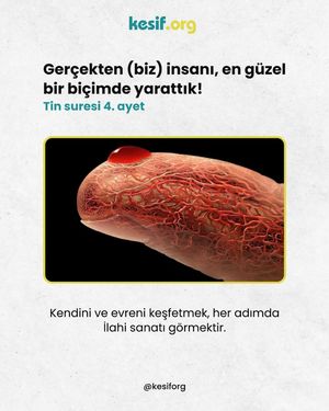 Image post by @kesiforg on Instagram