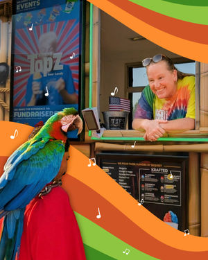 Image post by @konaice on Instagram