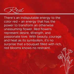 Image post by @sayitwithflowerspk on Facebook