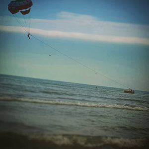 Image post by @royaei_abi_keyvan on Instagram