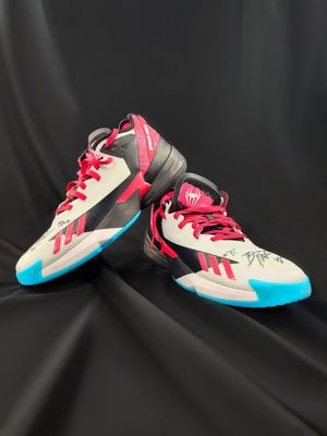 Image post by @Hoophall on Twitter