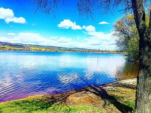 Image post by @kulpenberg_designs on Instagram