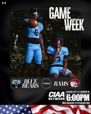 Image post by @bluebearathletics on Instagram