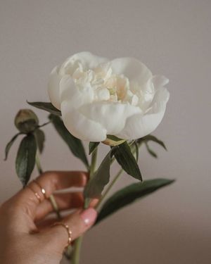 Image post by @kate.simple.life on Instagram