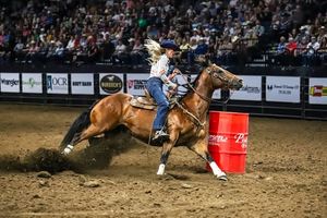 Image post by @larimercountyfair on Instagram