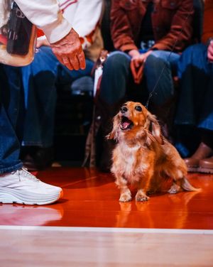 Image post by @texaswbb on Instagram