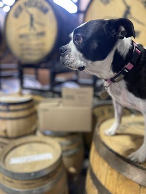 Image post by @10thmtnwhiskey on Instagram