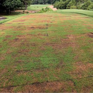 Image post by @unionleaguegolf on Instagram
