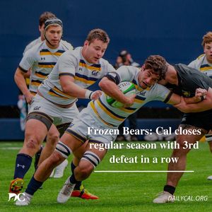Image post by @dailycalsports on Instagram
