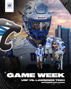 Image post by @usf_fb on Twitter