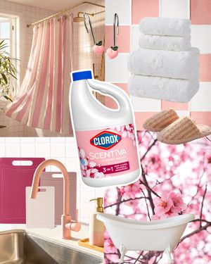Image post by @clorox on Instagram