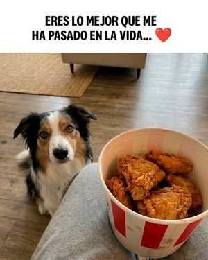 Image post by @kfcecuador on Instagram