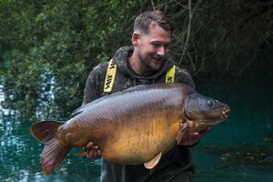 Image post by @brothercarp on Instagram