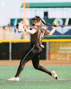 Image post by @honeybeessoftball on Instagram