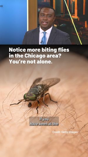 Image post by @nbcchicago on Instagram
