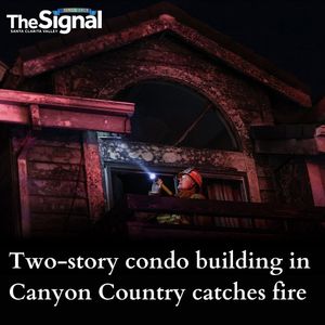 Image post by @signalscv on Instagram