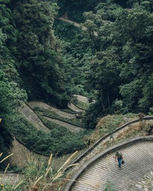 Image post by @roosanchez on Instagram