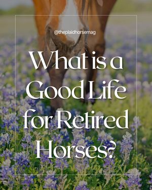 Image post by @theplaidhorsemag on Instagram