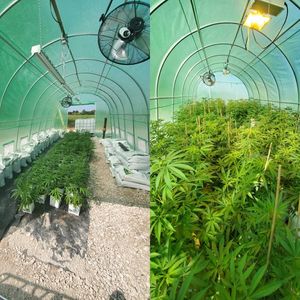 Image post by @TheGrowDoctorOklahoma on Facebook